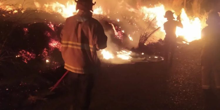 REDAN controla incendio de vegetación en el estado Carabobo