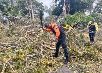 La Fuerza Naranja despeja vías tras caída de un árbol en el estado Carabobo