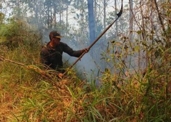 Protección Civil controló incendio en el estado Carabobo