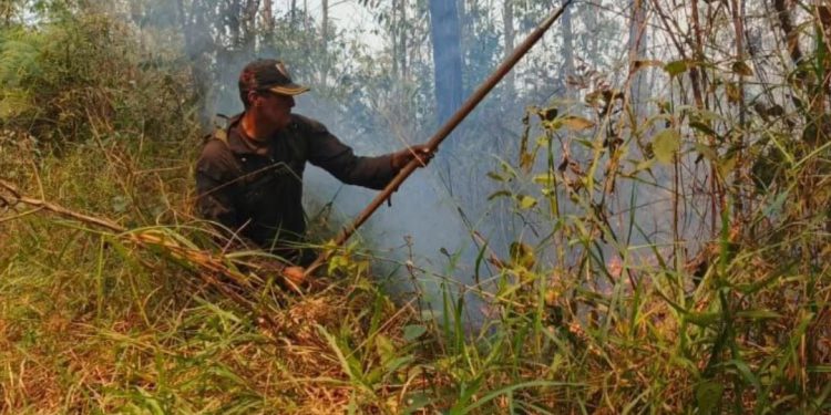 Protección Civil controló incendio en el estado Carabobo