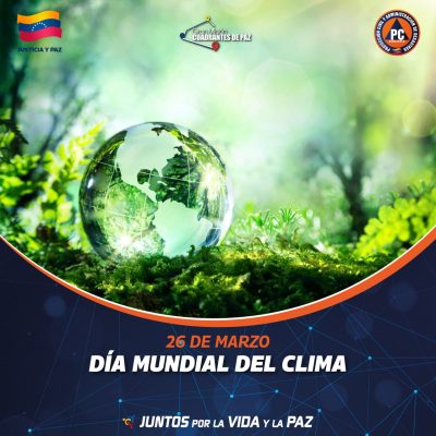 photo_5040004265295940591_y (1)