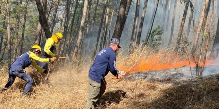 Capitán Diosdado Cabello destacó la labor del SNGR ante incendios en Tazón y Aragua