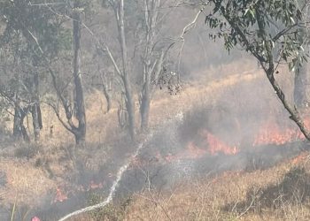 SNGR combatió incendio de vegetación en el parque Topo Las Piñas en Caracas