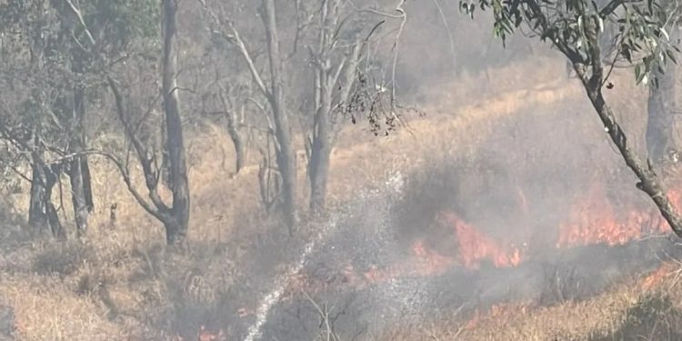 SNGR combatió incendio de vegetación en el parque Topo Las Piñas en Caracas