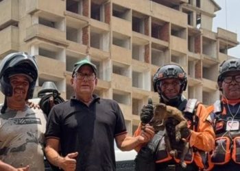 Protección Civil rescató canino atrapado en espacio confinado en el estado Carabobo