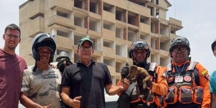 Protección Civil rescató canino atrapado en espacio confinado en el estado Carabobo