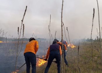 PC controló incendio en el Aeropuerto Internacional General José Tadeo Monagas