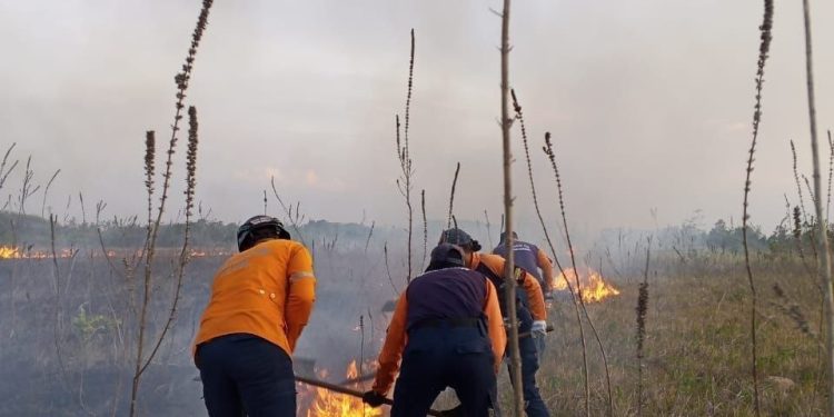 PC controló incendio en el Aeropuerto Internacional General José Tadeo Monagas