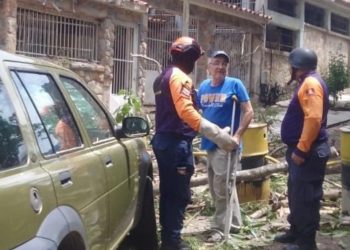 SNGR realizó labores de mitigación de riesgo tras colapso de árbol en el estado Carabobo