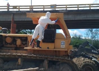 PC activó operativo de atención por enjambre de abejas en el Puente Francisco de Paula Santander