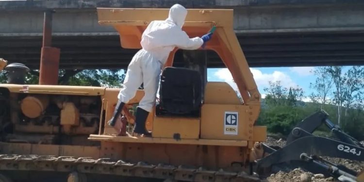 PC activó operativo de atención por enjambre de abejas en el Puente Francisco de Paula Santander