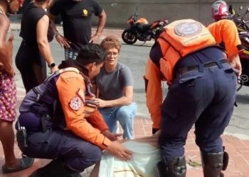 PC atiende a una canina tras ser arrollada en el estado Nueva Esparta