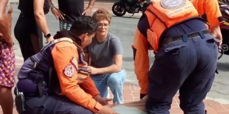 PC atiende a una canina tras ser arrollada en el estado Nueva Esparta