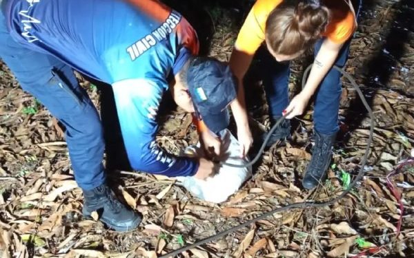Protección Civil rescata a caninos tras caer en un pozo de 7 metros de profundidad en Nueva Esparta