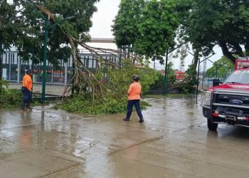 Protección Civil mitiga riesgos en diversos sectores del estado Monagas