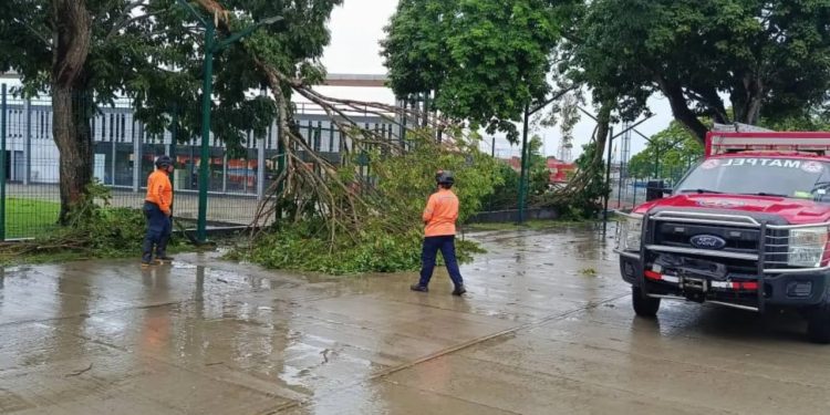 Protección Civil mitiga riesgos en diversos sectores del estado Monagas