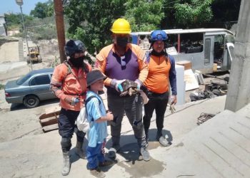 Protección Civil del estado Sucre rescata a un morrocoy