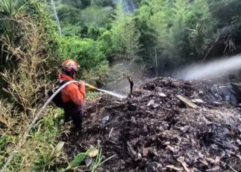 Protección Civil Baruta controla con éxito incendio en el estado Miranda