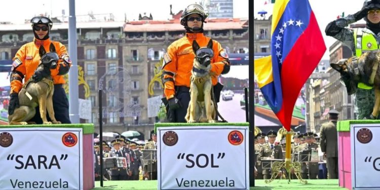 México otorga reconocimiento al Grupo Canino de Intervención en Desastres venezolano