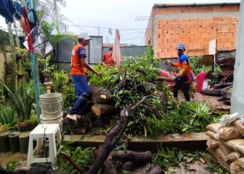 Protección Civil realiza despliegue de atención en el estado Carabobo tras recientes lluvias