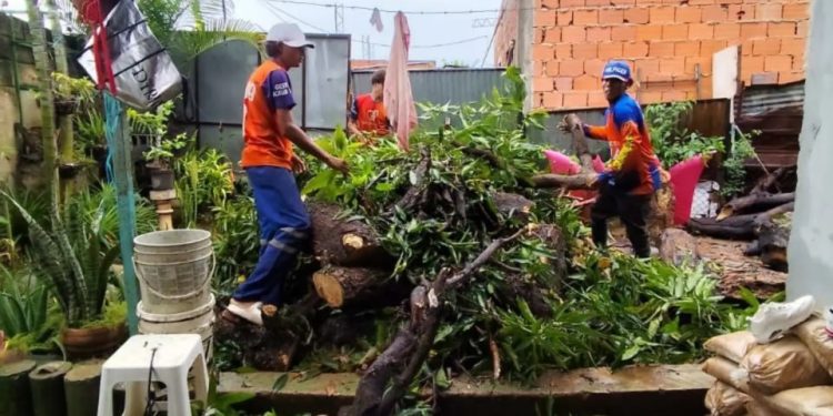 Protección Civil realiza despliegue de atención en el estado Carabobo tras recientes lluvias